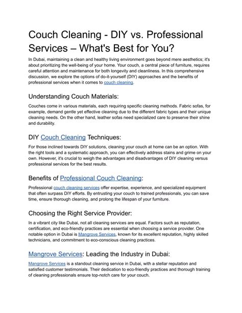 DIY vs. Professional Cleaning Services .